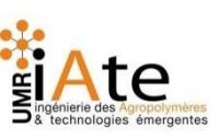 Partner-2-UMR-IATE.jpg